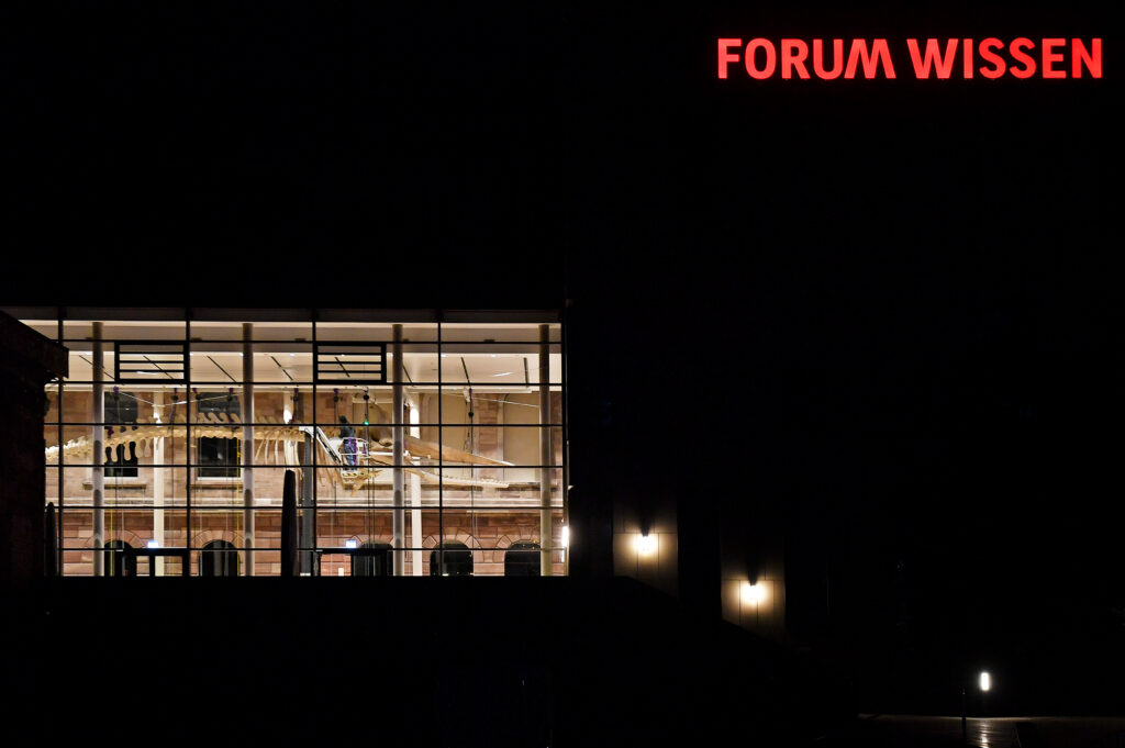 Der Wal im Forum Wissen bei Nacht