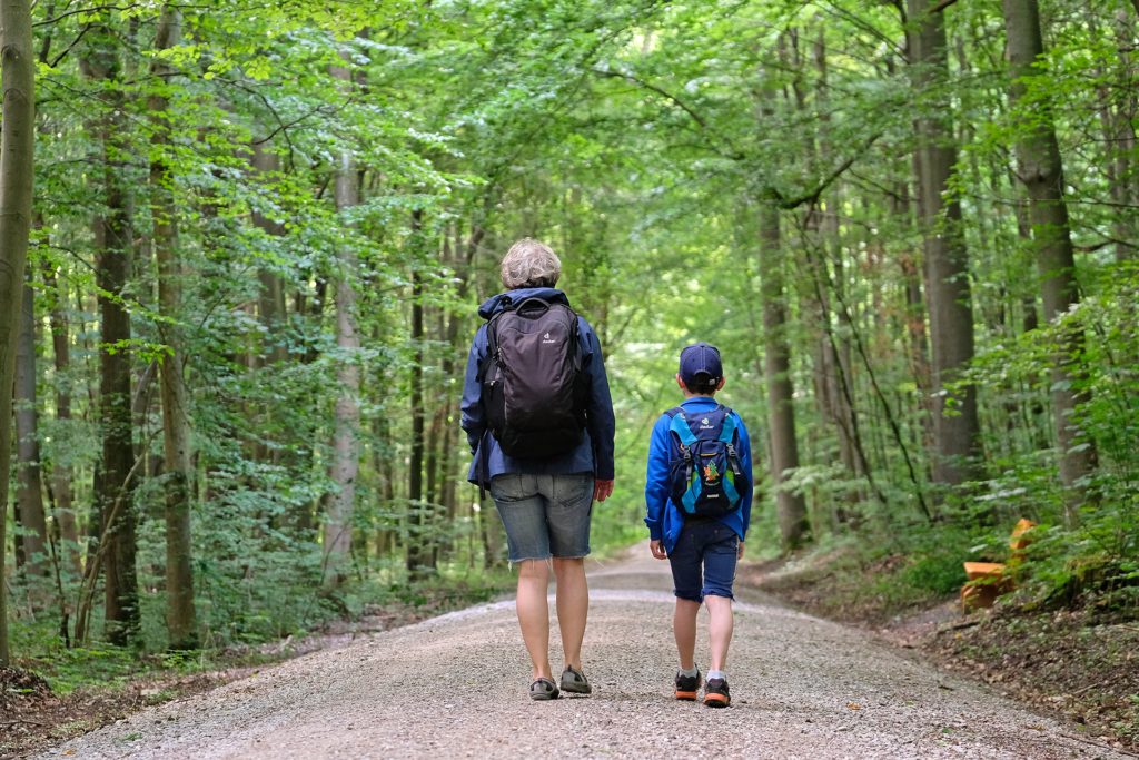 Digitaler Wald | Praktiken im Wald — Spaziergang im Wald – Forum Wissen