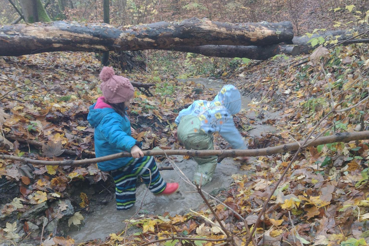kleine Kinder spielen im Wald