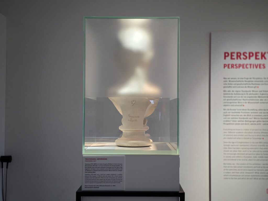 Büste in einer VItrine von hinten fotografiert. Direkt zu Beginn der Basisausstellung im Forum Wissen, im ersten Raum „Perspektiven“, sind verschiedene menschliche Büsten zu sehen. Eine davon ist die Kopie einer Büste eines rangatira, eines politischen Oberhauptes des iwi (Stamm) Ngāi Tahu, der indigenen Gesellschaft der Māori aus Aotearoa (Neuseeland).