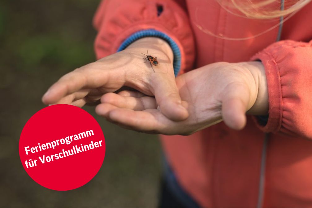 Veranstaltungskalender Vorlage – 882px – 588px